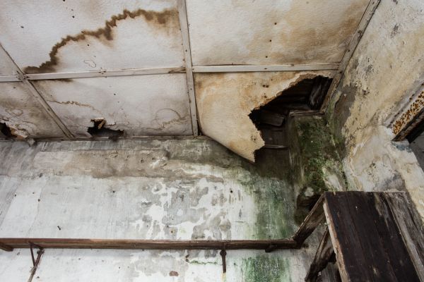 Water Damage Service in Concord