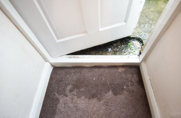 Wet Carpet Restoration in Concord