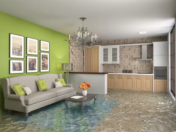 Wet Carpet Drying in Concord