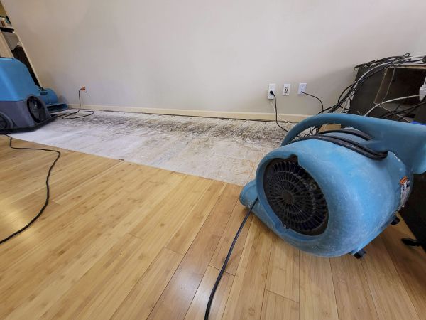 Water Damage Mitigation in Concord