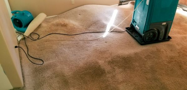 Carpet Water Extraction in Concord