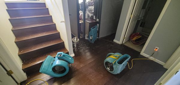 Water Damage Remediation in Concord